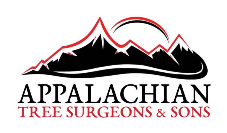 Appalachian Contracting Sons LLC Logo