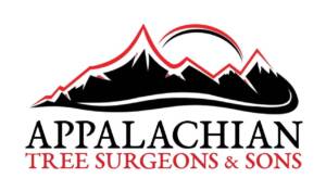Appalachian Contracting Sons LLC Logo 300x176