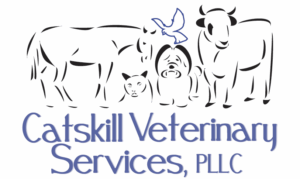 Catskill Vet 300x179