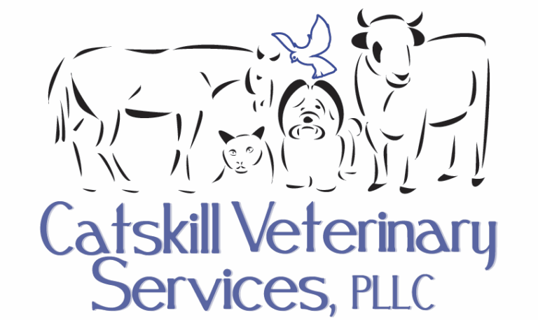 Catskill Vet 768x458