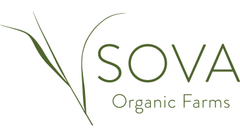sova logo new