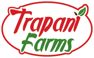 text logo medium